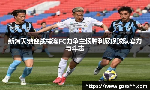 zoty中欧官方网站