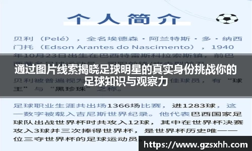 zoty中欧官方网站