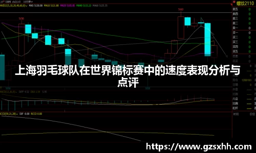 上海羽毛球队在世界锦标赛中的速度表现分析与点评