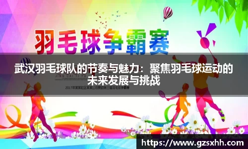 武汉羽毛球队的节奏与魅力：聚焦羽毛球运动的未来发展与挑战
